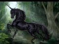 UNICORNS.wmv