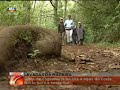Levadas da Madeira no SIC