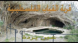 من اراضي قرية القباب الفلسطينية من اراضي قرية القباب الفلسطينية