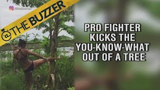 Pro fighter, Tiffany “TimeBomb” Van Soest, kicks the crap out of a tree | @TheBuzzer | FOX SPOR by @The Buzzer