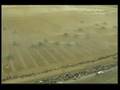 World Record Harvest - This Week in AgriBusiness