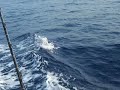 mike perry marlin 4