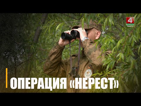 Около 60 браконьеров задержаны на водоемах Гомельщины за почти два месяца видео