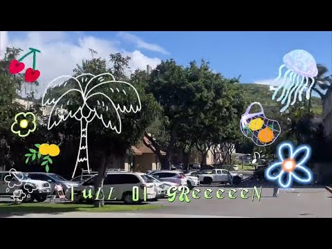 [고려대 교환학생] 24 -1 미국 University of Hawaiʻi at Mānoa 교환학생 참여 후기 Vlog