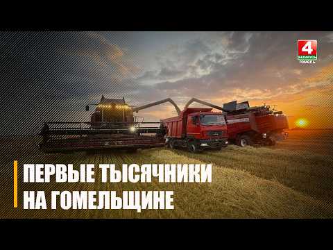 Первую 1000 тонн зерна на Гомельщине намолотил комбайнёр Дмитрий Великоборец с агрокомбината «Холмеч» видео