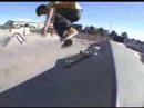 torquay bitch