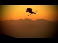 Head ski video: Jon Olsson Tim Durtschi Oscar Scherlin