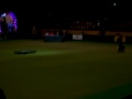 Crufts 2008 - Heelwork to Music Competition (2nd place) (1)