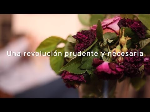 Imagen de previsualización de YouTube