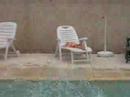 journée piscine !!! journée piscine !!!