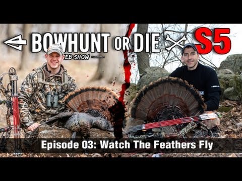 how to harvest feathers from a dead bird