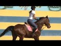 Hipismo Aula