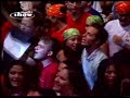 Chiclete selva branca