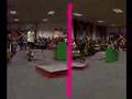 Street, Dual & Spped Trial