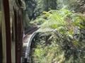 drachenfelsbahn-rackandpinionrailway-railroad.html