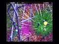 Spheres of Chaos AcornGamez Video Archive Spheres of Chaos AcornGamez Video Archive