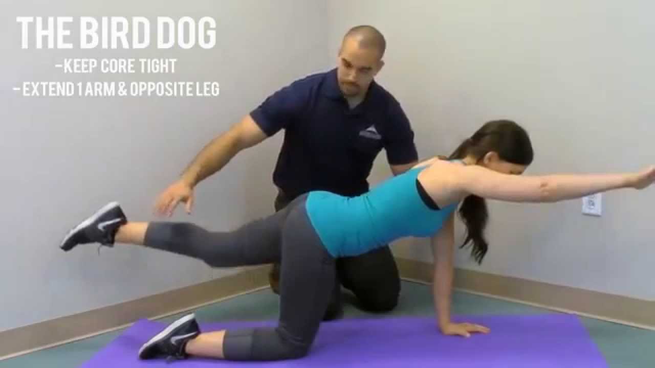 Keith Clinic - Stability Exercise #3 - The Bird Dog Exercise