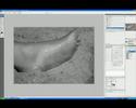 Questo breve video mostra come una semplice foto a colori, sfocata, possa comunque prendere sembianze piacevoli, con un breve rittocco attraverso Adobe Photoshop CS3 Extended.This short videoclip shows how a simple color picture, out of focus, can become nice, with an easy editing session by using Adobe Photoshop CS3 Extended.