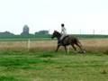cours d'endurance