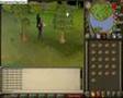 Woodcutting 1-99 guide- Runescape