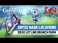 The Best 9 Where To Find Abyss Mage Genshin Impact