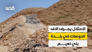 الاحتلال يجرف آلاف الدونمات في بلدة بني نعيم