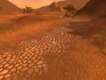 gnome Death race