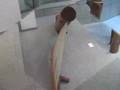 Shigeko Uchida sculpture-harp
