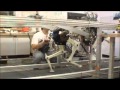MIT's Amazing Cheetah robot
