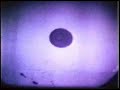 LGN - On Cell