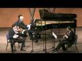 Till Meyn Orion Trio, 4th movement