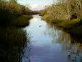 Everglades National Park, FL - 3.AVI