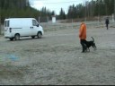 Kikan luonnetesti Kikan luonnetesti