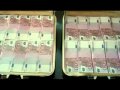 Le Mac-bande Annonce Vf Hd