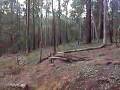 mtb road gap