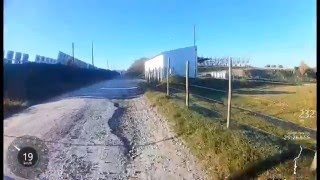 Um dia na selva...