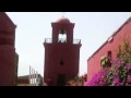 Tacama Vineyard Plant - Ica - Peru
