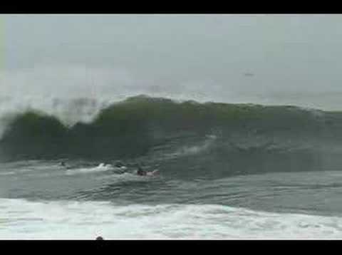 extreme newport WEDGE