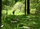 quabbin