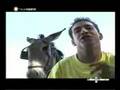 clip video XXL Alto Y Claro