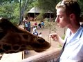 Langata Giraffe Sanctuary
