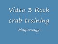 Magicmagy-Runescape best place for low lvl to train