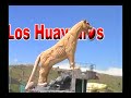 Los Huayruros de Huancané-Cholita Encantadora Los Huayruros de Huancané-Cholita Encantadora