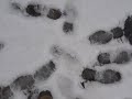 Walking the Great Wall of China