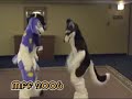 MFF 2006 Fursuit Fun MFF 2006 Fursuit Fun
