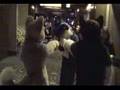 MFF 2006 Fursuit Fun
