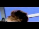 higinia higinia