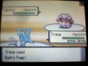 Pokemon Pearl Wi-fi battle vs BSX (again =P) Pokemon Pearl Wi-fi battle vs BSX (again =P)
