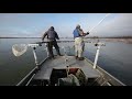 Fisheries research