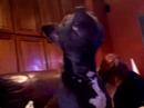 Puppy Puppy